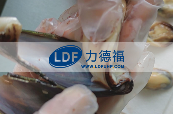 貽貝
